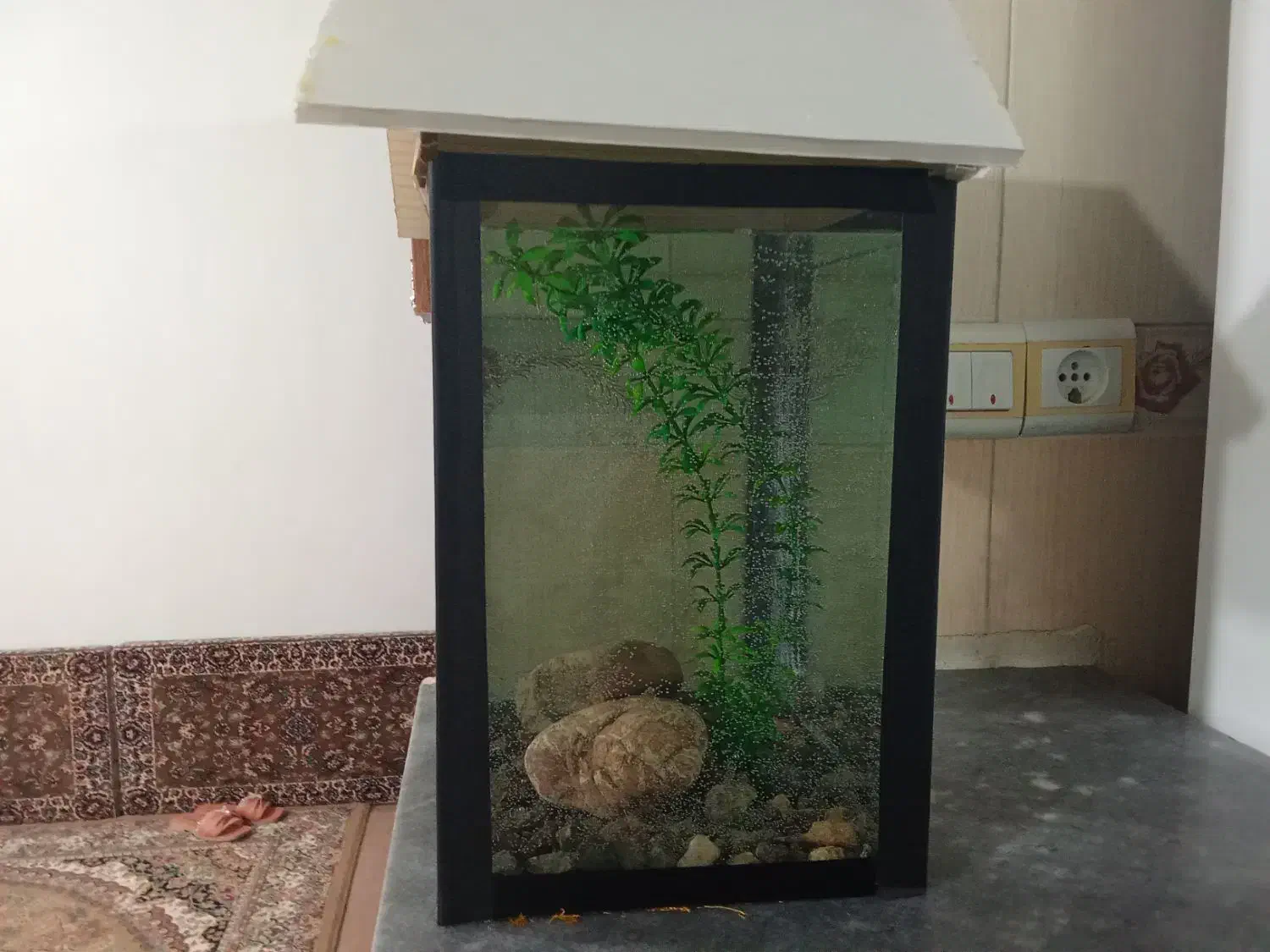 اکواریوم|ماهی|دیواندره, |دیوار