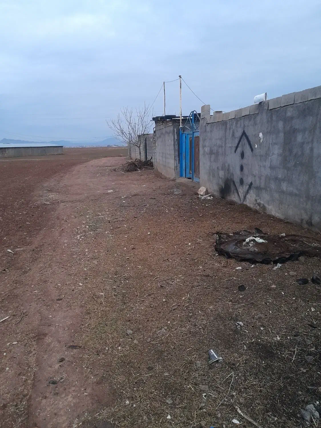 کود حیوانی|گل و گیاه طبیعی|کوهدشت, |دیوار