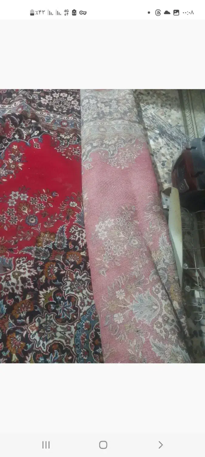 فرش ۱۲متری|فرش|بابل, |دیوار