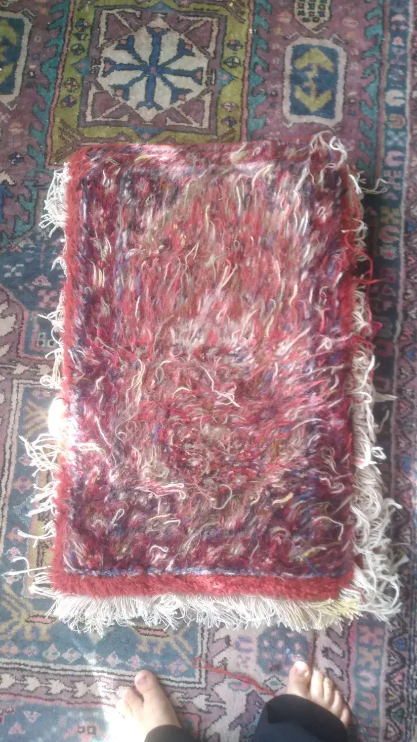 پادری ریزه ماهی جفت|فرش|اردبیل, |دیوار