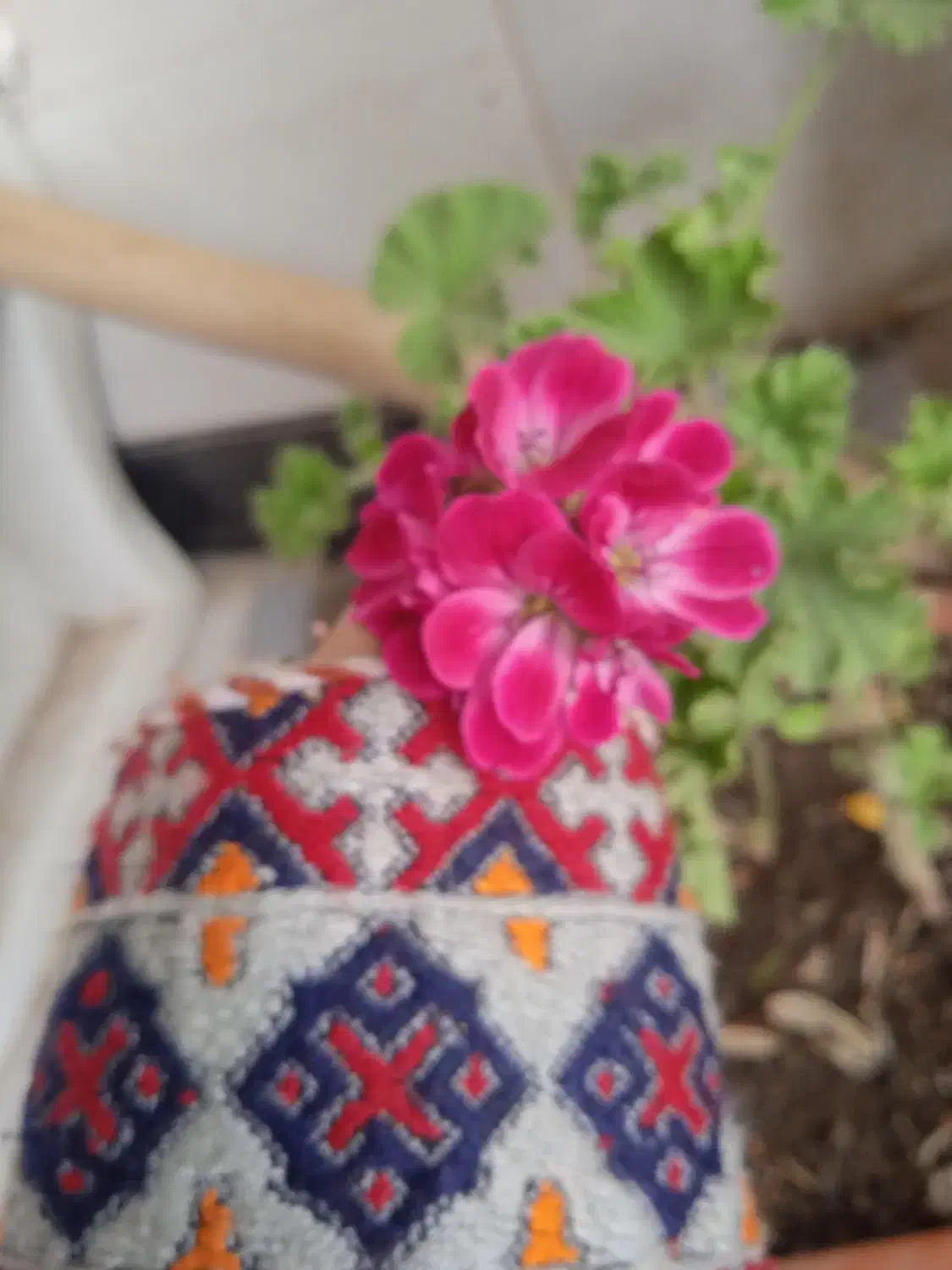 پاندا۲متری|حراج|گلستان (تهران), |دیوار
