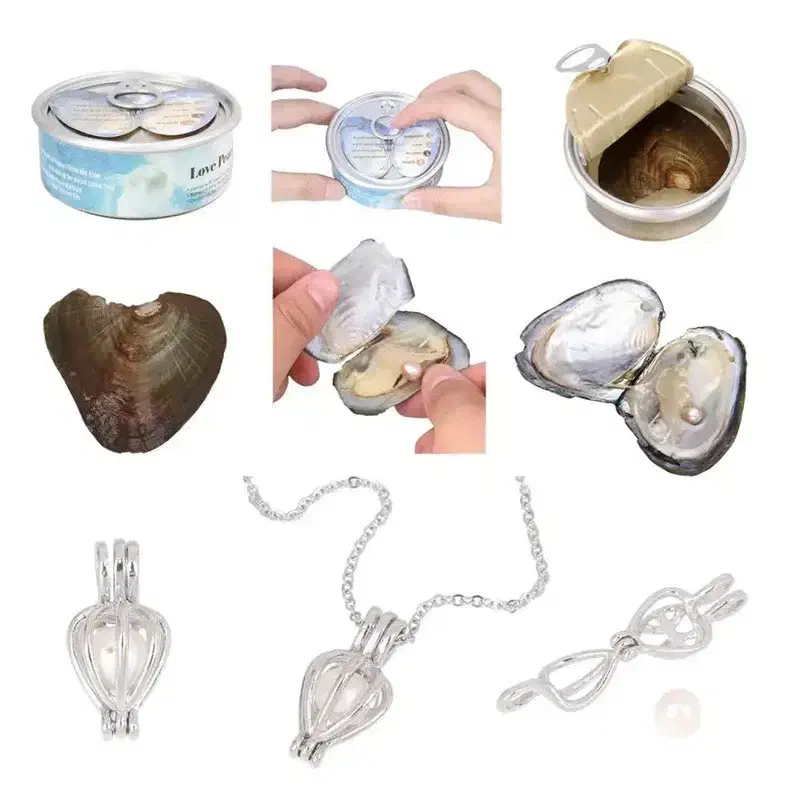 گردنبند زنانه مدل Pearl به همراه صدف مروارید دار|جواهرات|شیراز, ارم|دیوار