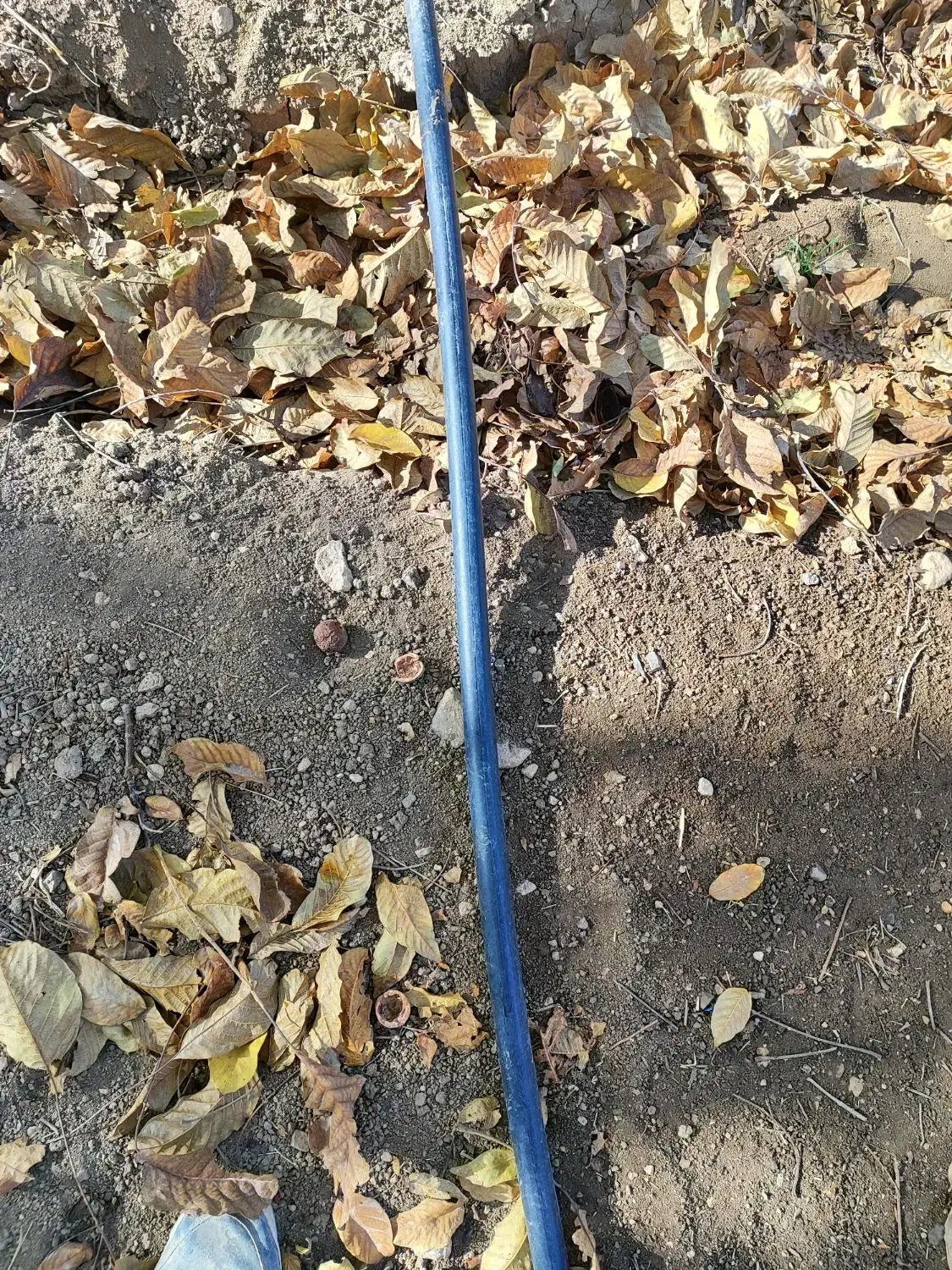 لوله|ابزارآلات|بیستون, |دیوار