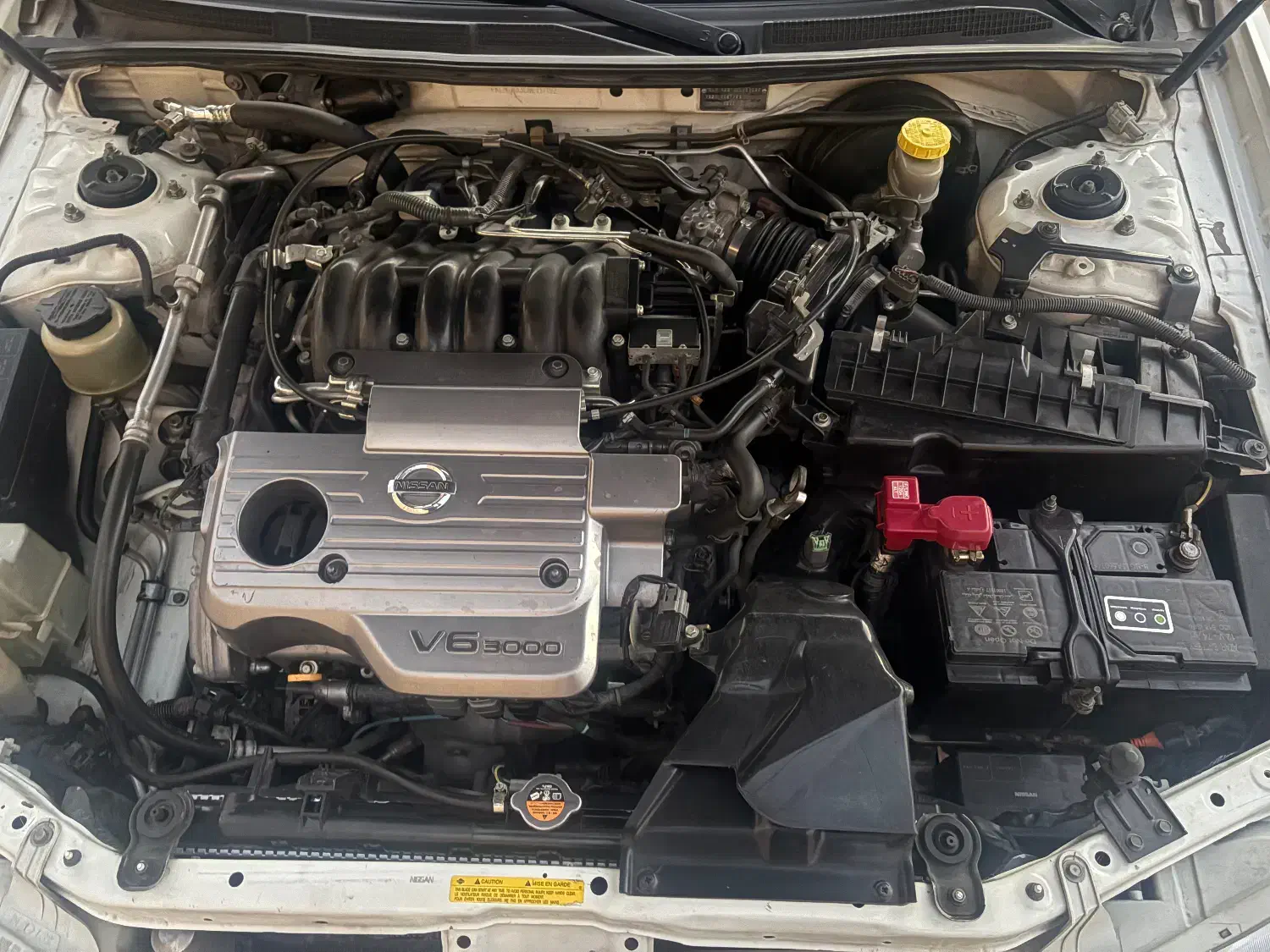 ماکسیما 88/مقطوع /|خودرو سواری و وانت|یزد, |دیوار