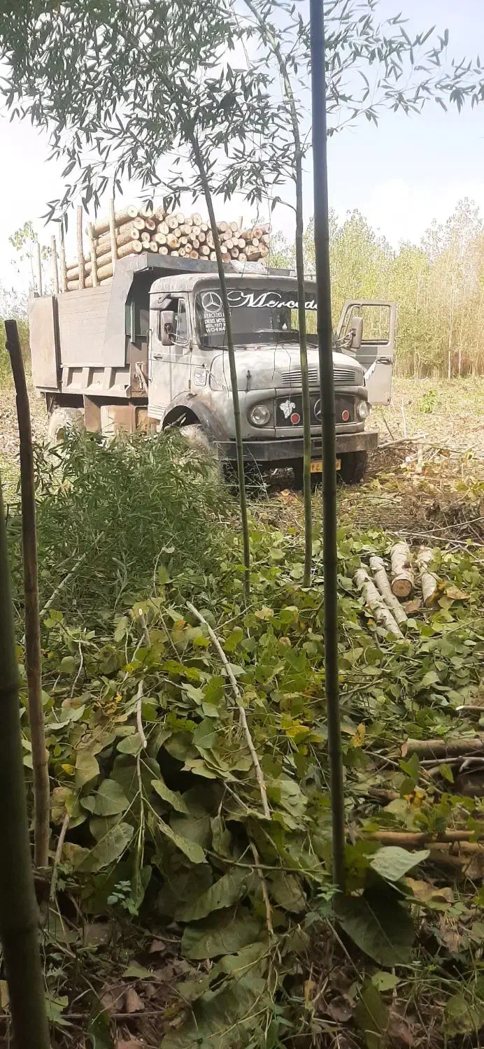 کمپرسی ۹۱۱جفت کمک سوپردار|خودرو سنگین|ضیابر, |دیوار