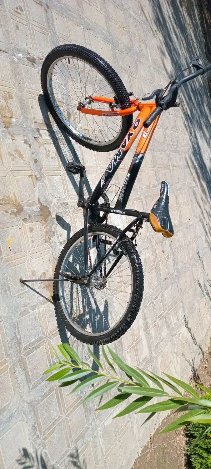 دوچرخه ۲۴ در حد|دوچرخه، اسکیت، اسکوتر|صفادشت, |دیوار