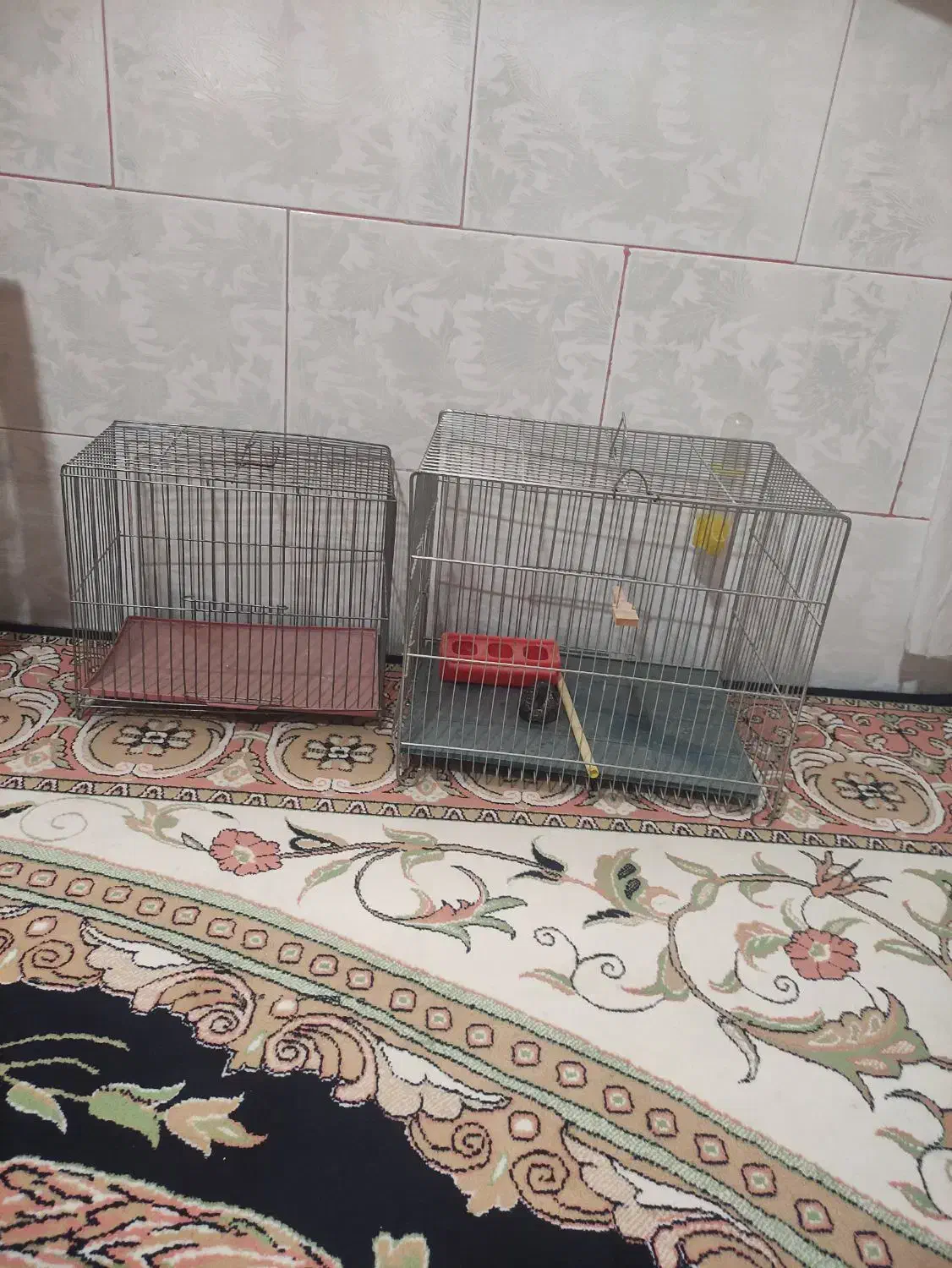 قفس|لوازم جانبی حیوانات|ایلام, |دیوار