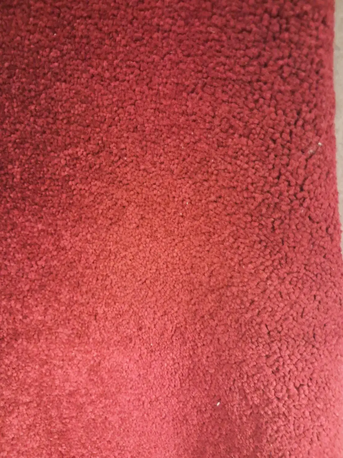 پالاز موکت درحد ۱۲ متری|موکت|ایلام, |دیوار