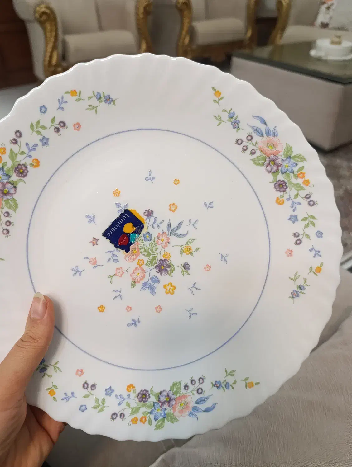 آرکوپال ویکتوریای فرانسه اصل|ظروف سرو و پذیرایی|قزوین, |دیوار