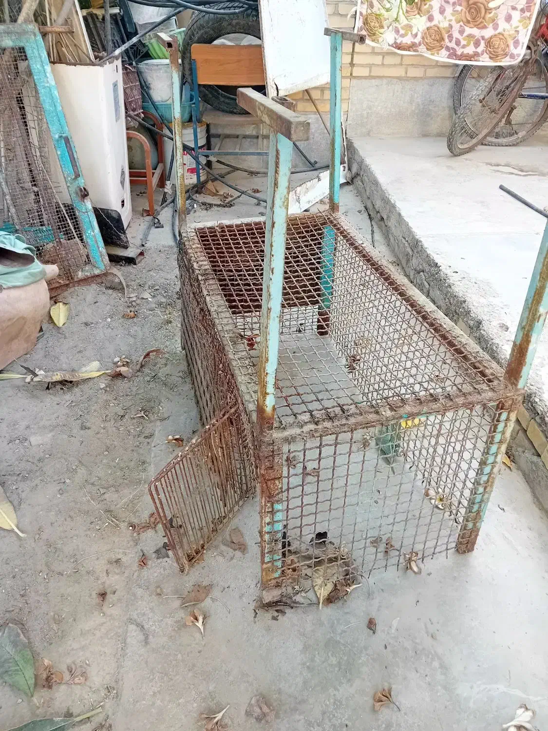 درب لونه پرنده ی با قفس|پرنده|میناب, |دیوار