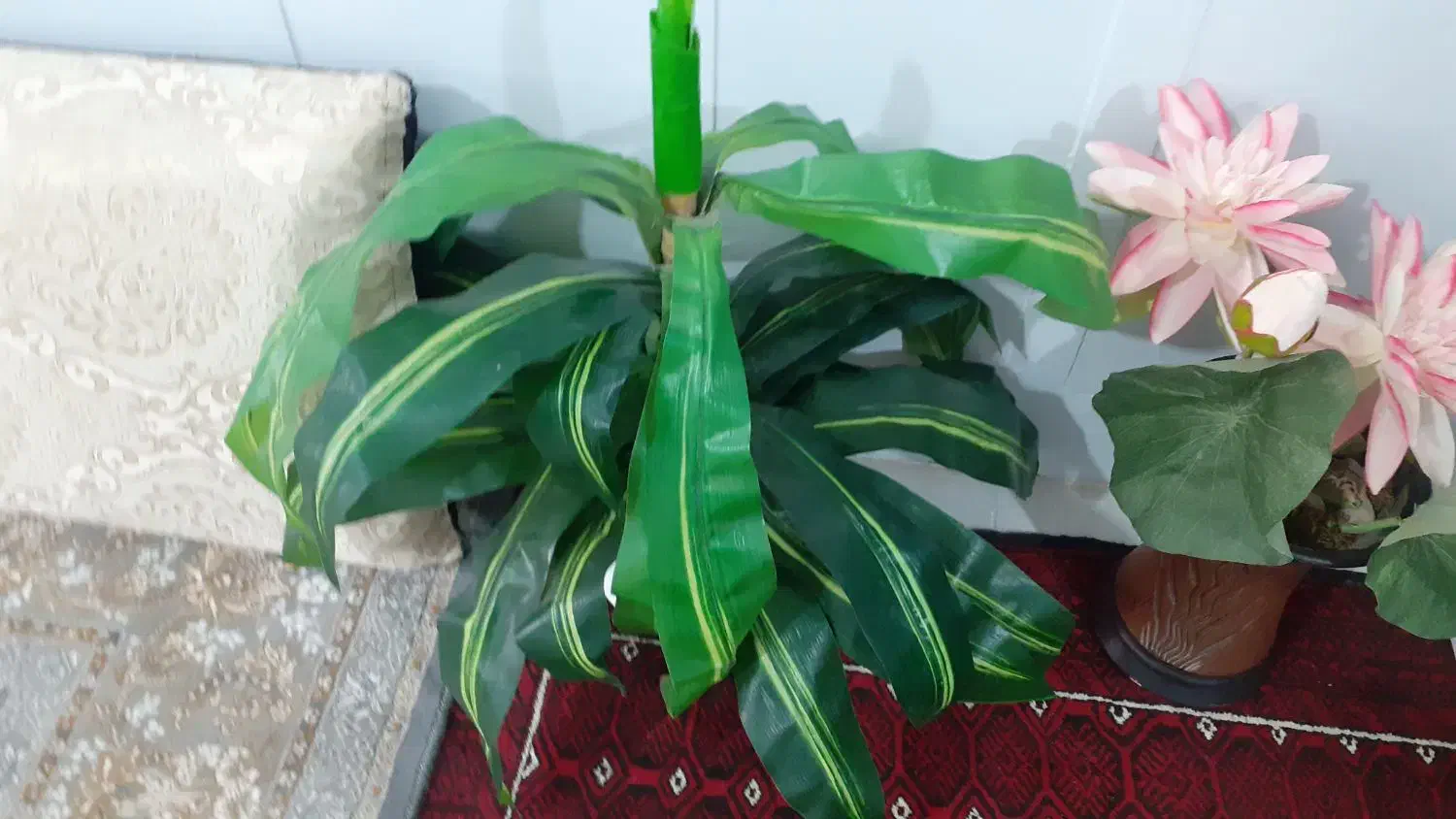 گل وگلدان فروش فوری|صنایع دستی و سایر لوازم تزئینی|تربت جام, معدآباد|دیوار