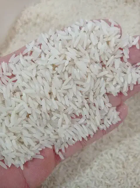 برنج هاشمی لاشه برداشت گیلان|خوردنی و آشامیدنی|تهران, سهروردی|دیوار