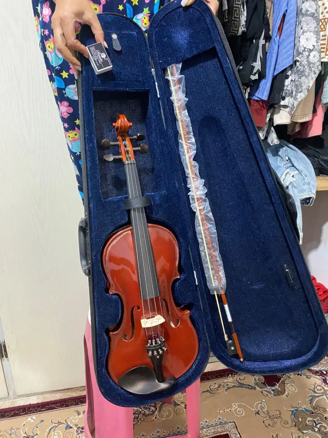 ویالن|ویولن|قدس, شهر‌قدس|دیوار