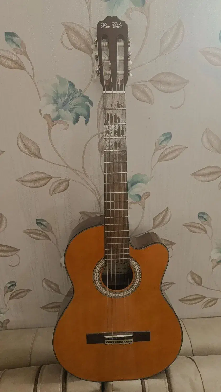 گیتار اصل پائوچیا|گیتار، بیس، امپلیفایر|تبریز, |دیوار