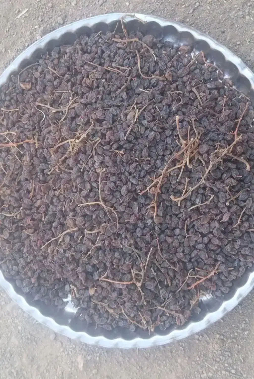 کشمش بیدانه پاک شده|خوردنی و آشامیدنی|دشتابی, |دیوار