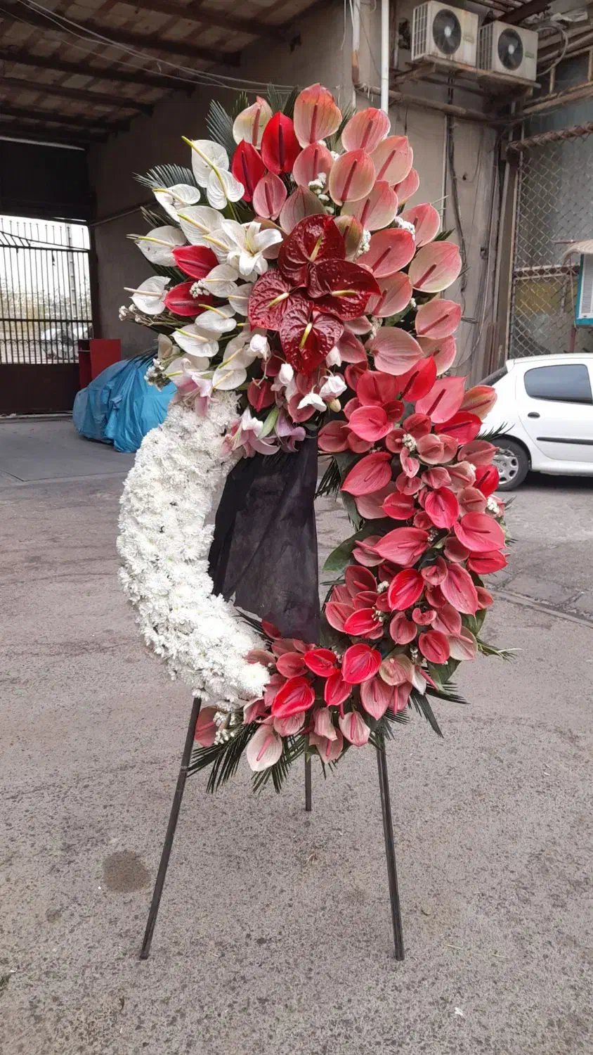 گل گیاه|گل و گیاه طبیعی|تهران, حر|دیوار