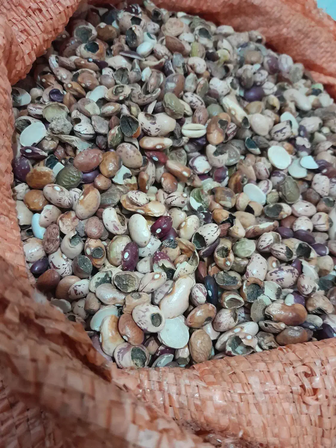 ضایعات حبوبات جهت مصرف دام|لوازم جانبی حیوانات|شیراز, شهرک والفجر|دیوار