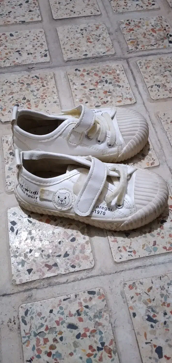 ۸۸۸۸۸۸۸۸۸۸|ورزش‌های توپی|زنجان, |دیوار