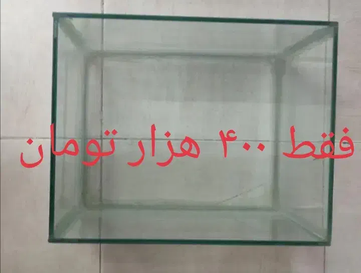 آکواریوم مفت|لوازم جانبی حیوانات|سقز, |دیوار