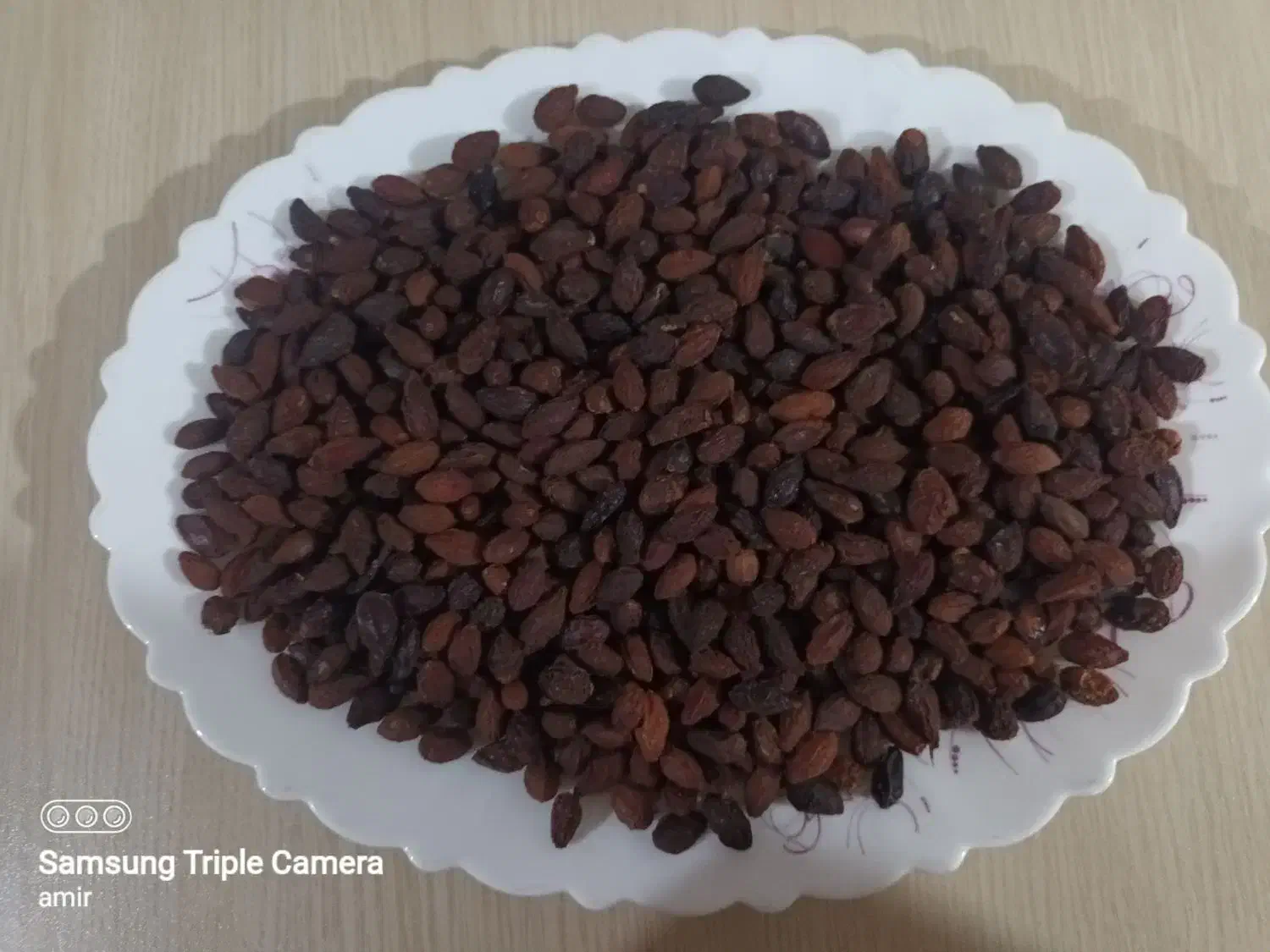 ذغال اخته خشک فروش فوری ۱۱۰|خوردنی و آشامیدنی|الوند, |دیوار