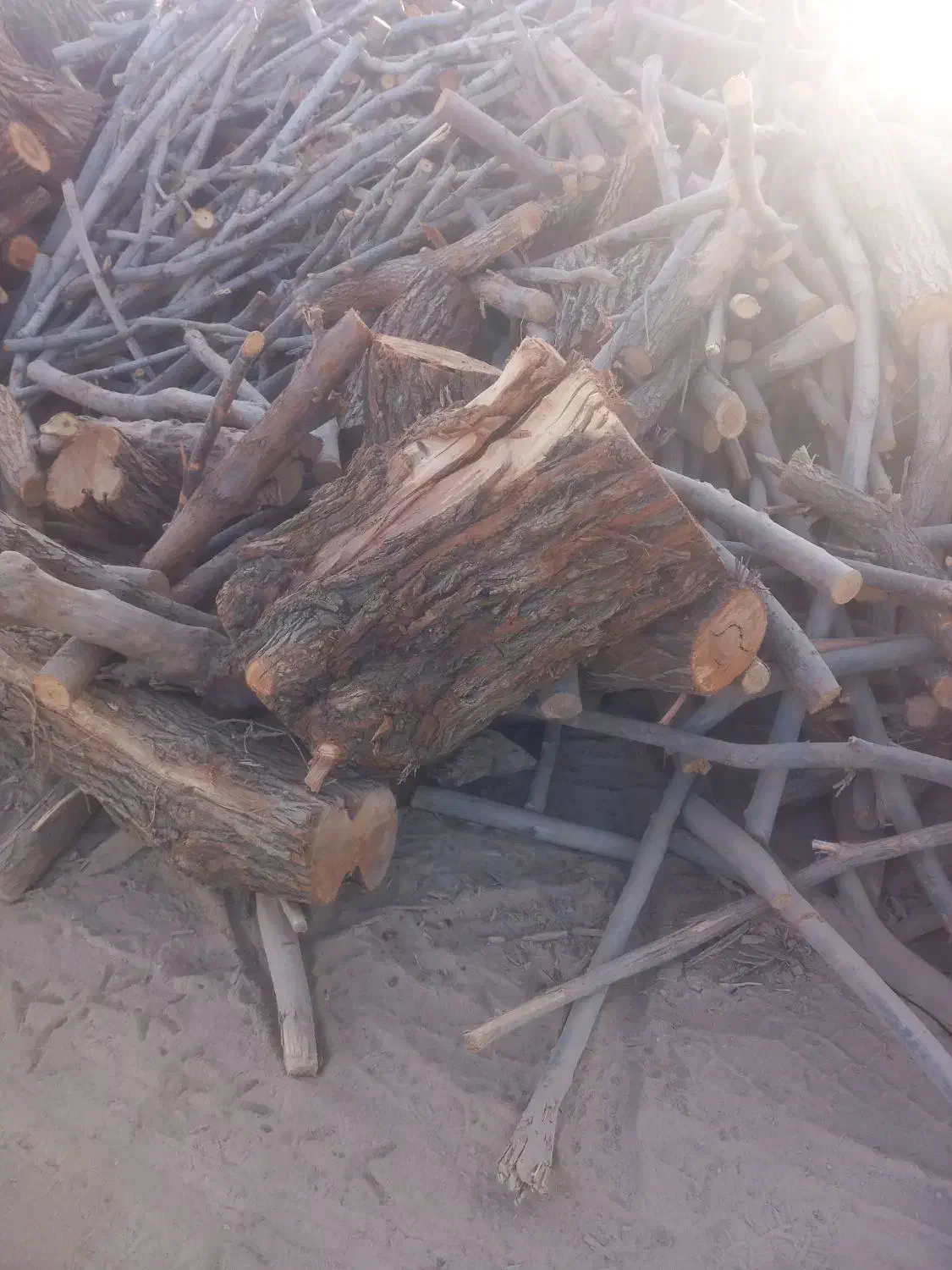 خرید انواع چوب و درخت|خدمات باغبانی و درختکاری|بناب, |دیوار