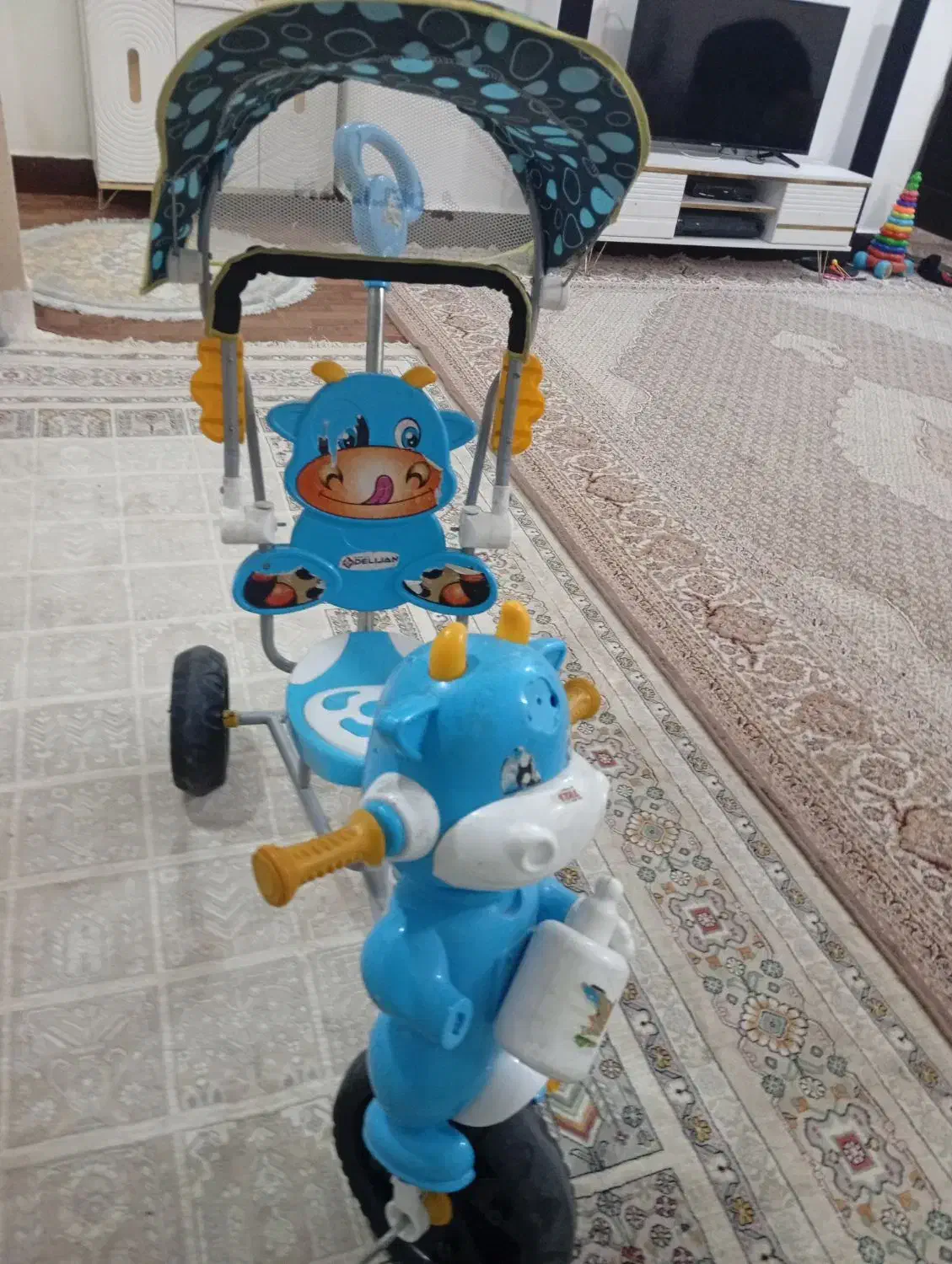 سچرخه|دوچرخه، اسکیت، اسکوتر|شوشتر, |دیوار