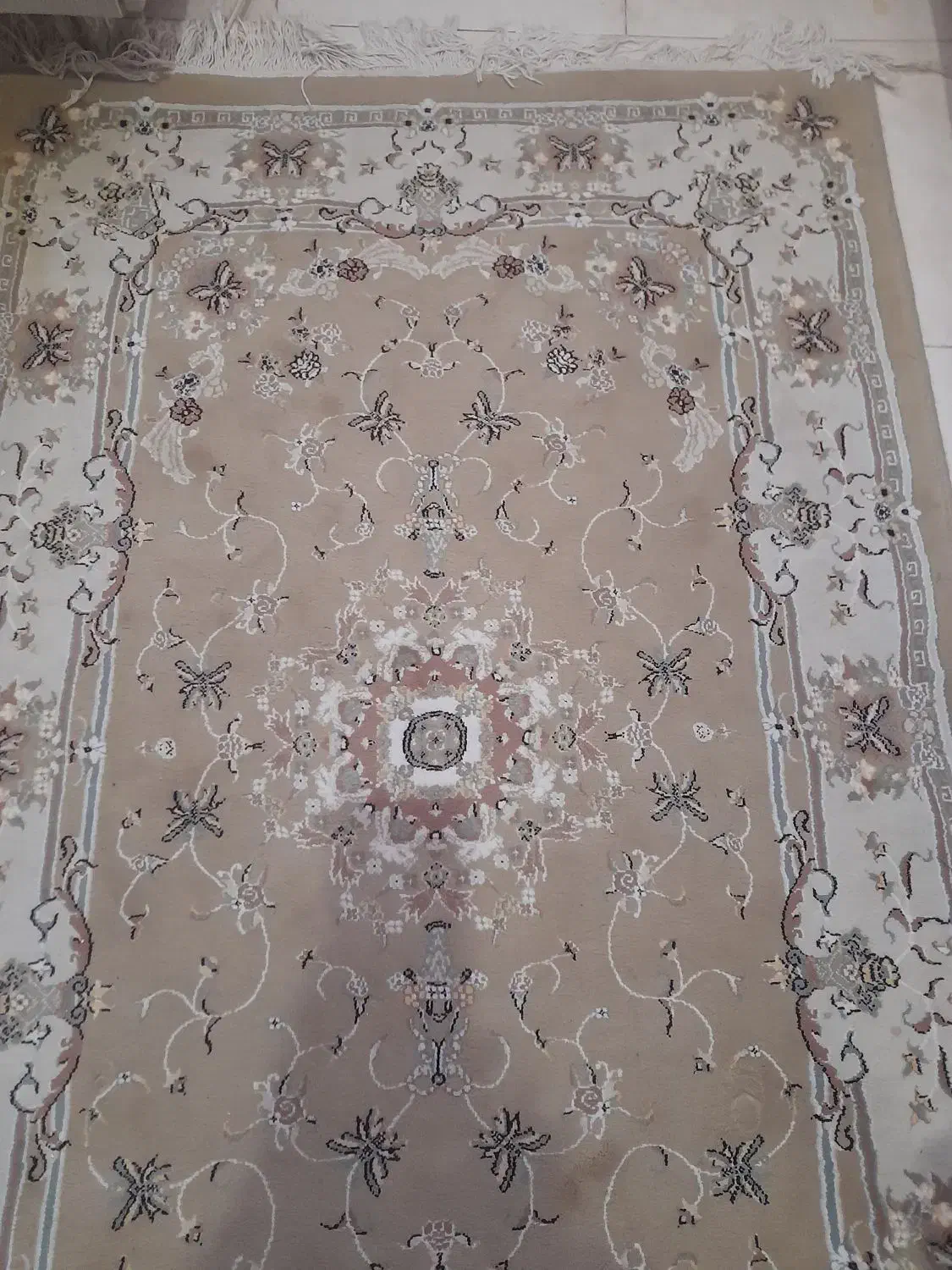 کناره در حدنو|فرش|زنجان, |دیوار