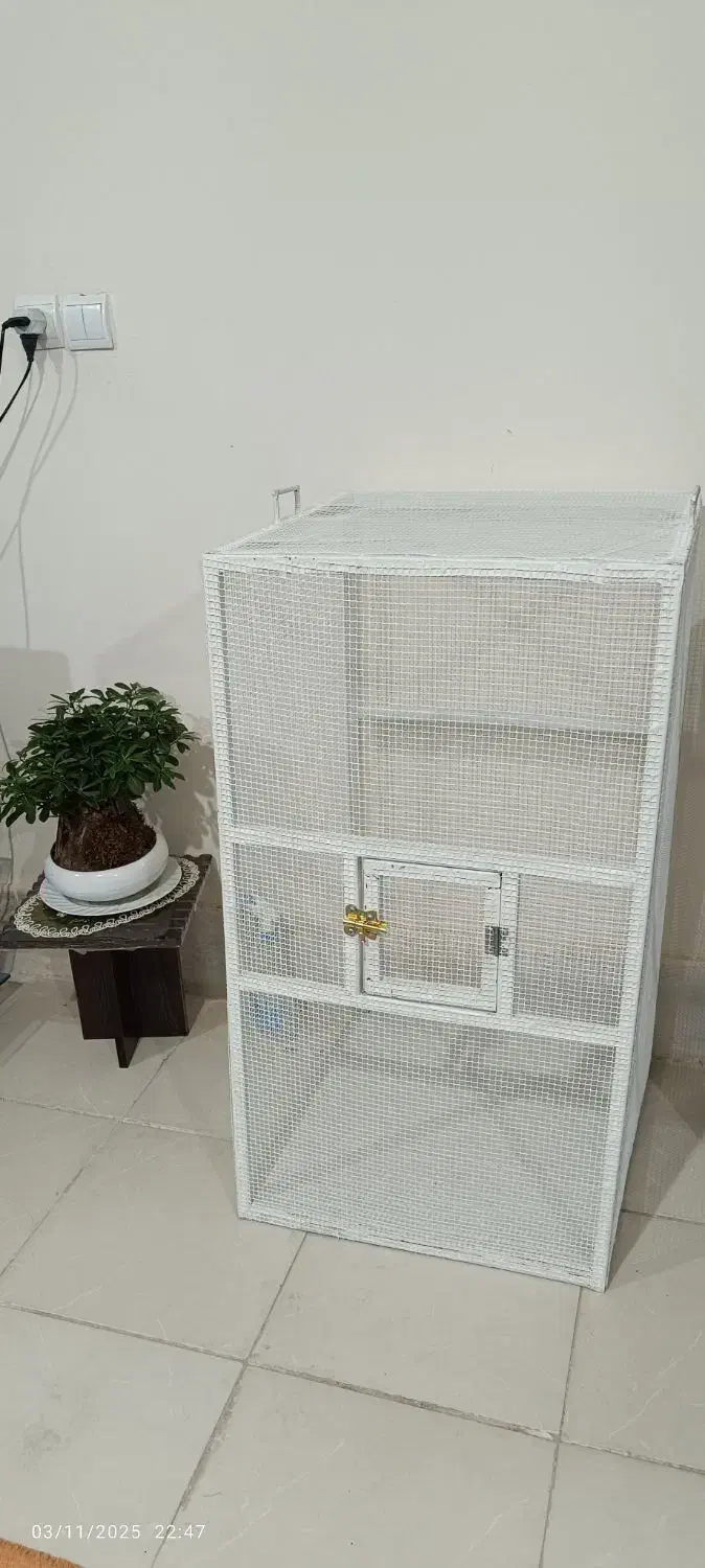 قفس پرنده|لوازم جانبی حیوانات|لنجان, |دیوار