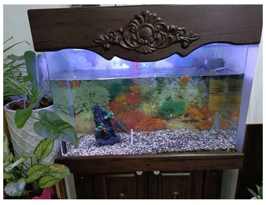 آکواریوم شیشه خم در حد نو با کمد|ماهی|محمدشهر, شهرک چمران|دیوار