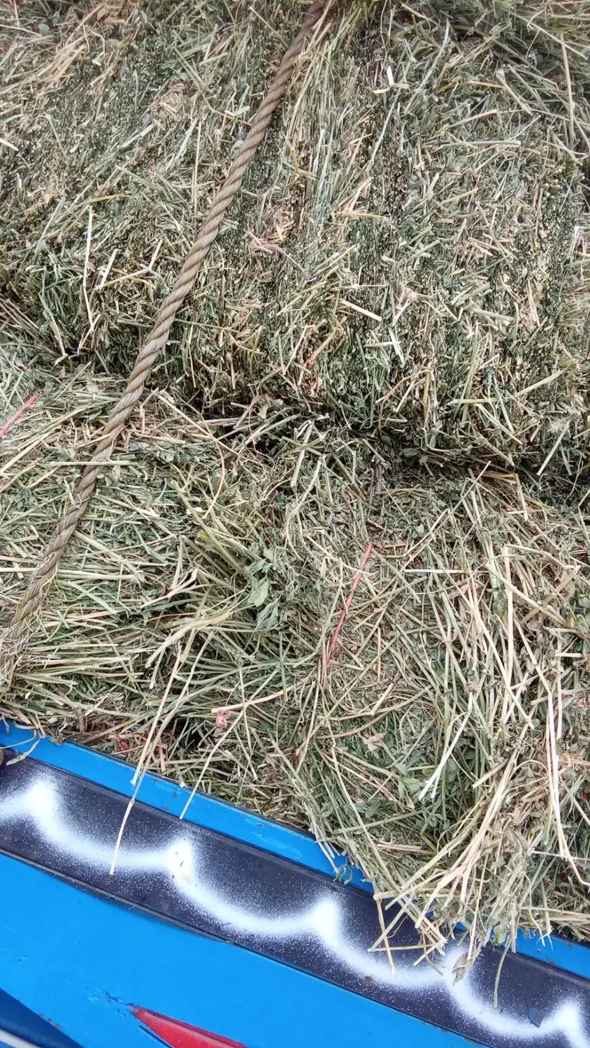 یونجه خالص|خدمات باغبانی و درختکاری|قره قوین, |دیوار