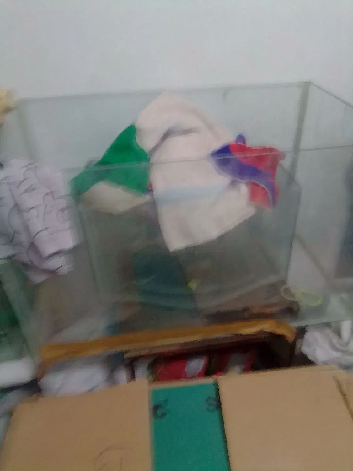 دو عدد آکواریوم بزرگ مخصوص مغازه ومنزل ومحل کار|ماهی|بومهن, |دیوار