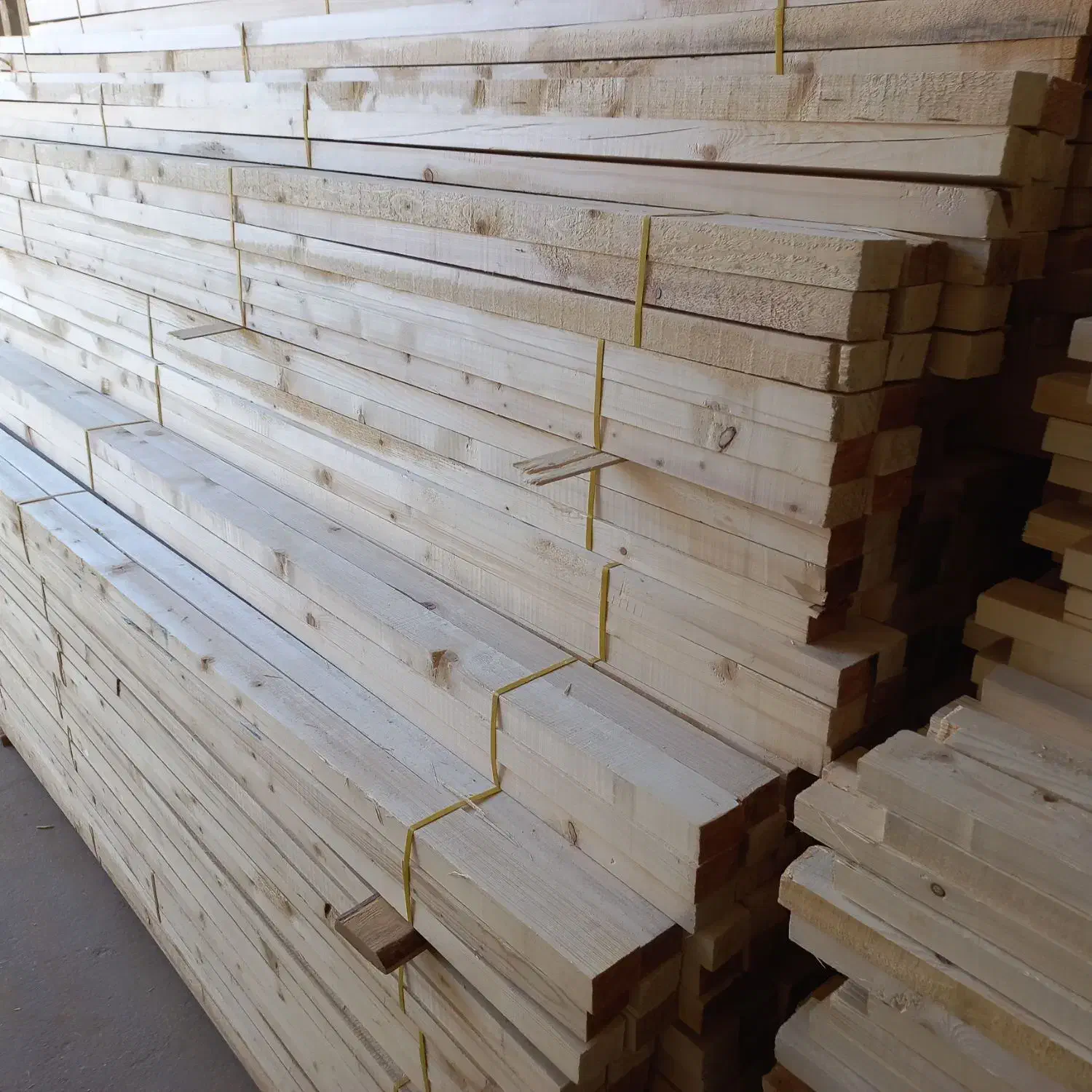 پخش عمده تخته بنایی و بشکه و انواع چوب های ابعادی|عمدهفروشی|قم, زاویه|دیوار