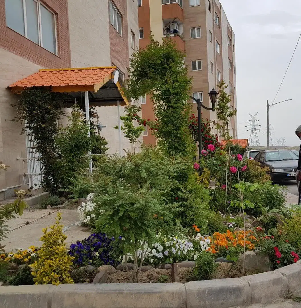 تصویر 18