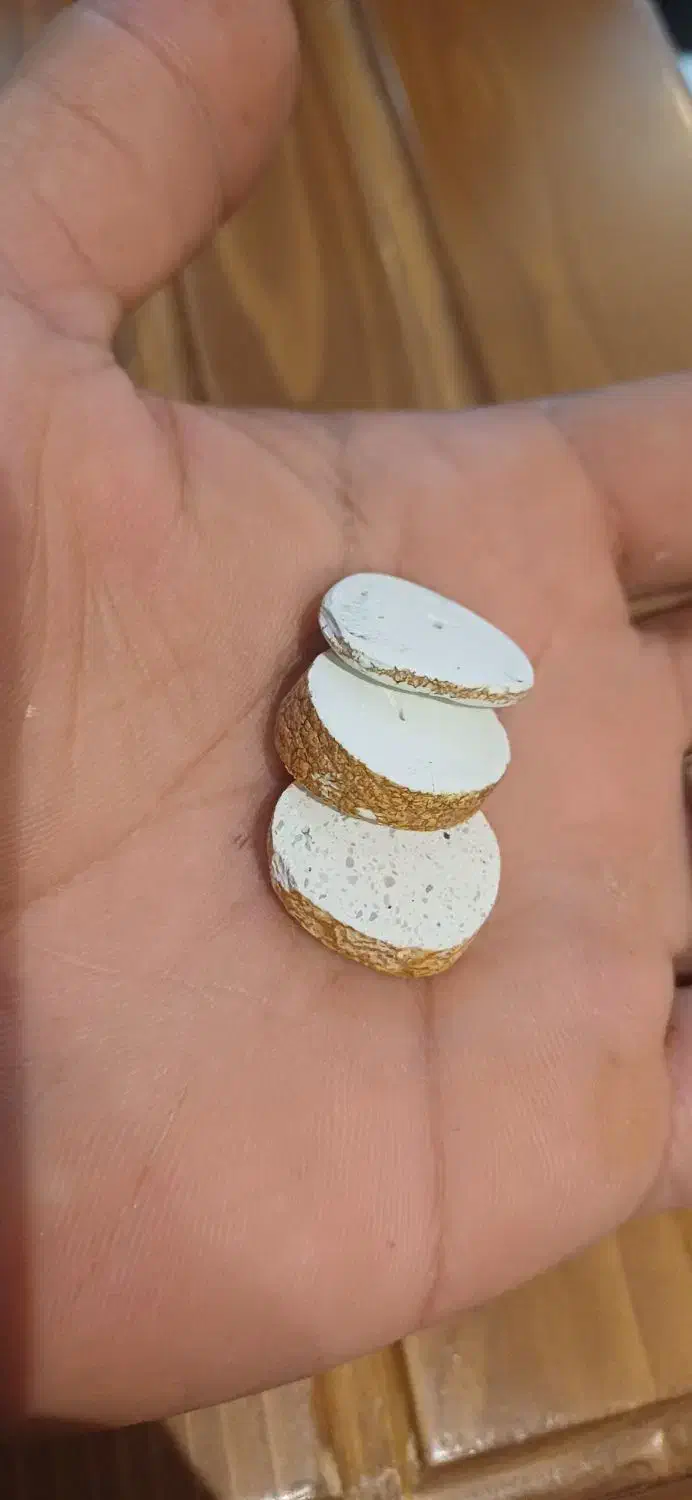 مهره نگین کسب کار|کلکسیون اشیاء عتیقه|بندرعباس, |دیوار