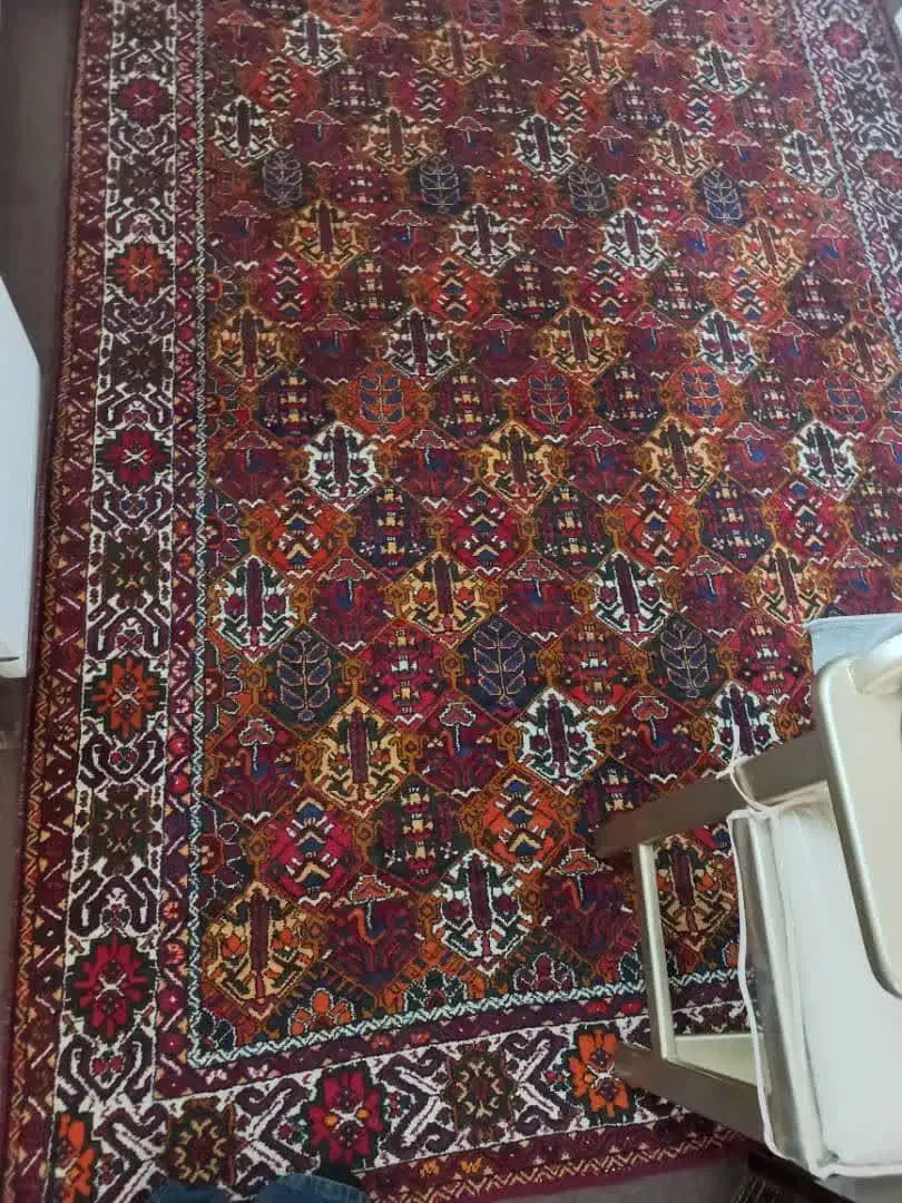 فرش دست بافت|فرش|خمینی‌شهر, |دیوار