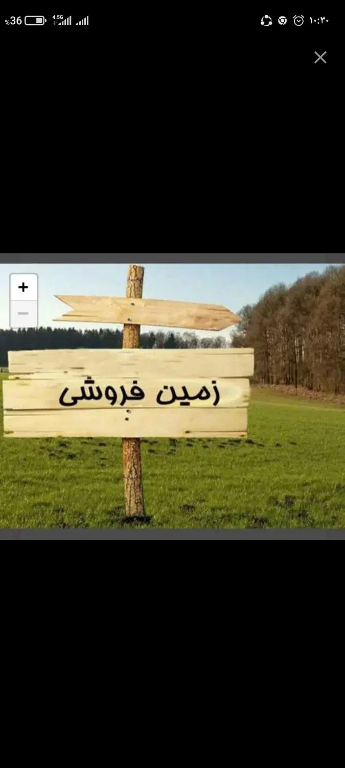 فروش فوری زمین|فروش زمین و ملک کلنگی|تربتحیدریه, یحیی آباد|دیوار