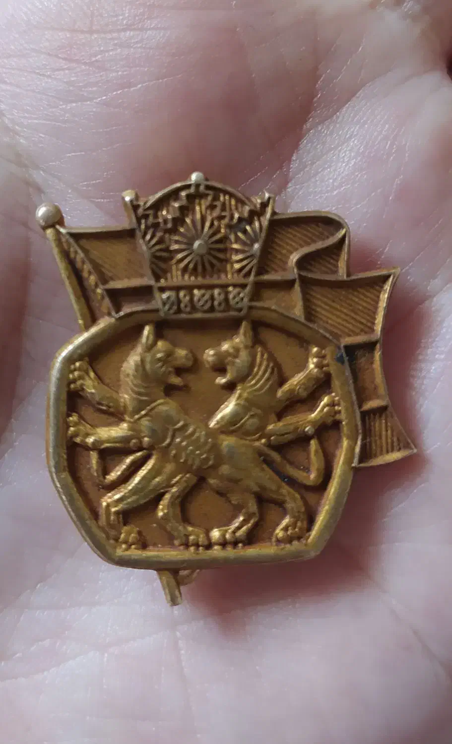 سنجاق سینه شیرخورشید|کلکسیون اشیاء عتیقه|شیراز, پودنک|دیوار