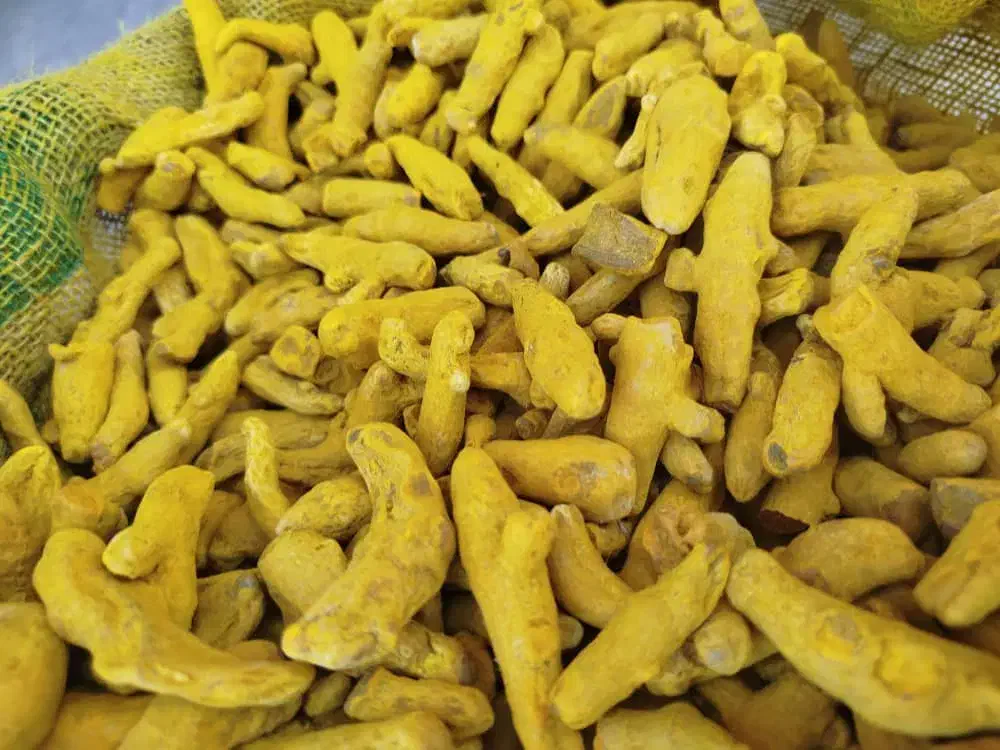 پخش عمده ادویه، گیاهان دارویی و روغن گیاهی|عمده‌فروشی|قم, قلعه کامکار|دیوار