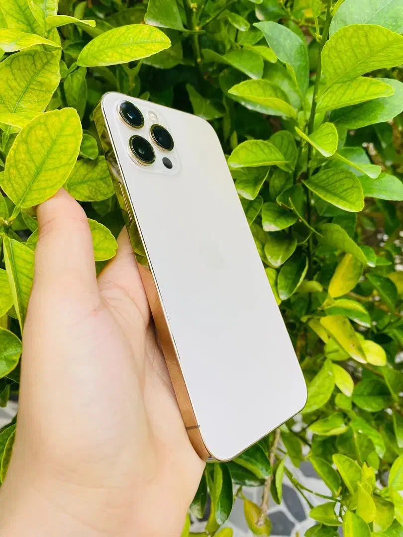 iPhone 12 Pro Max|موبایل|بوشهر, |دیوار