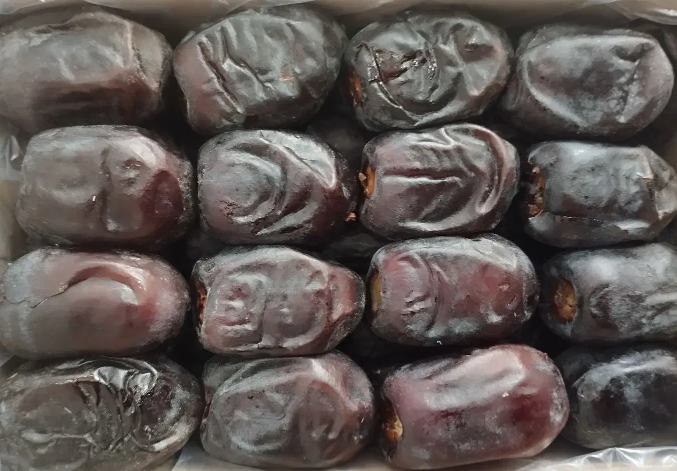 خرما رطب|خوردنی و آشامیدنی|مشهد, کارمندان دوم|دیوار