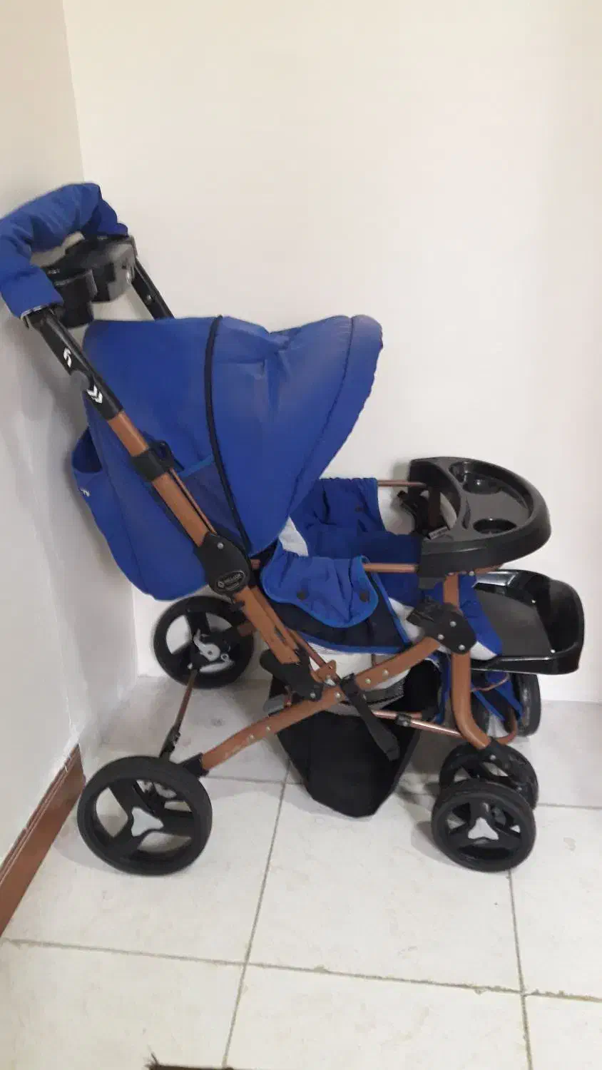 کالسکه دلیجان|کالسکه و لوازم جانبی|تهران, چیتگر شمالی|دیوار