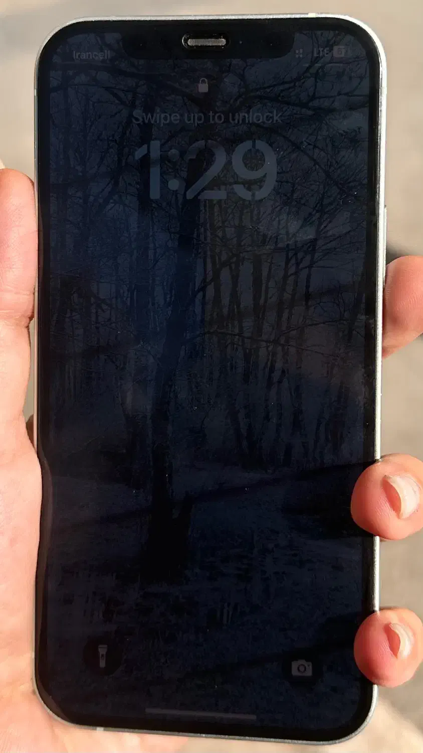 آیفون ۱۲|موبایل|کاشان, مدرس|دیوار