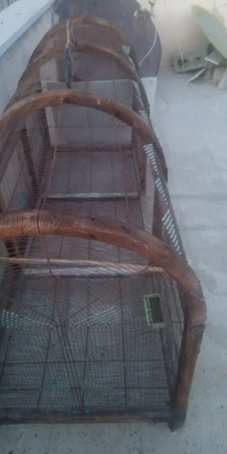 قفس بزرگ و قدیمی چوبی مناسب پرورش عروس هلندی و....|لوازم جانبی حیوانات|اندیشه, اندیشه فاز ۵|دیوار