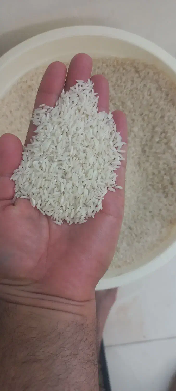 برنج هاشمی|خوردنی و آشامیدنی|رشت, نخودچر|دیوار