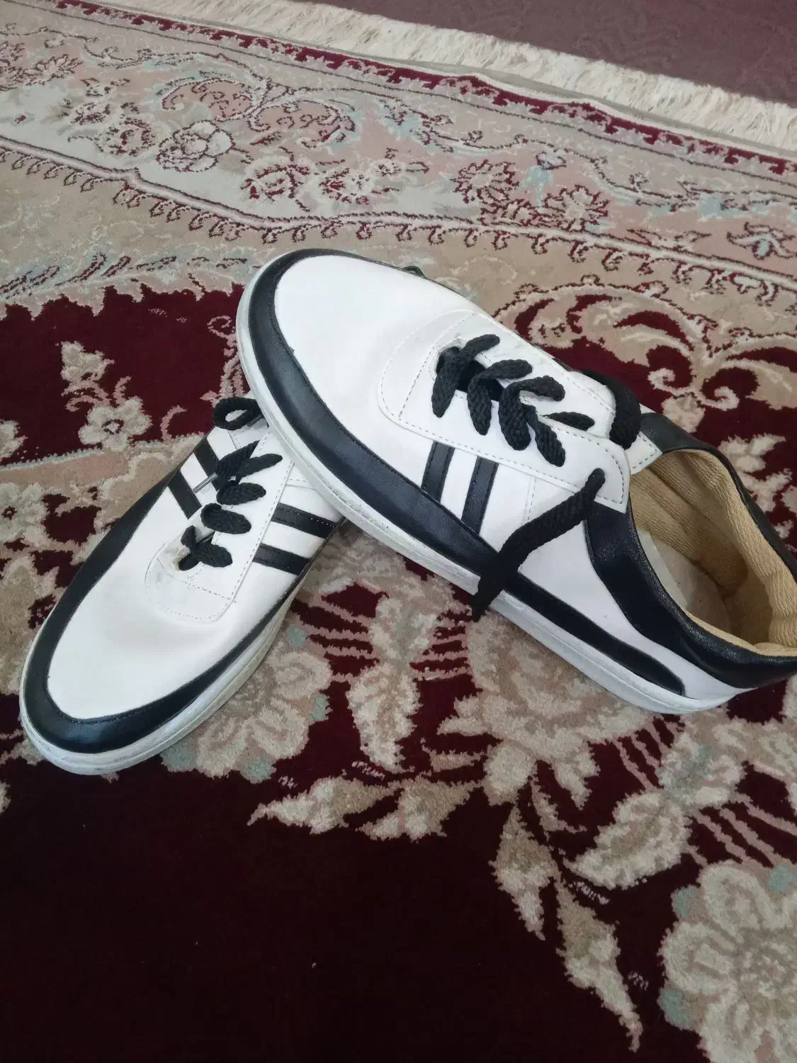 کفش|کیف، کفش، کمربند|شیراز, پودنک|دیوار