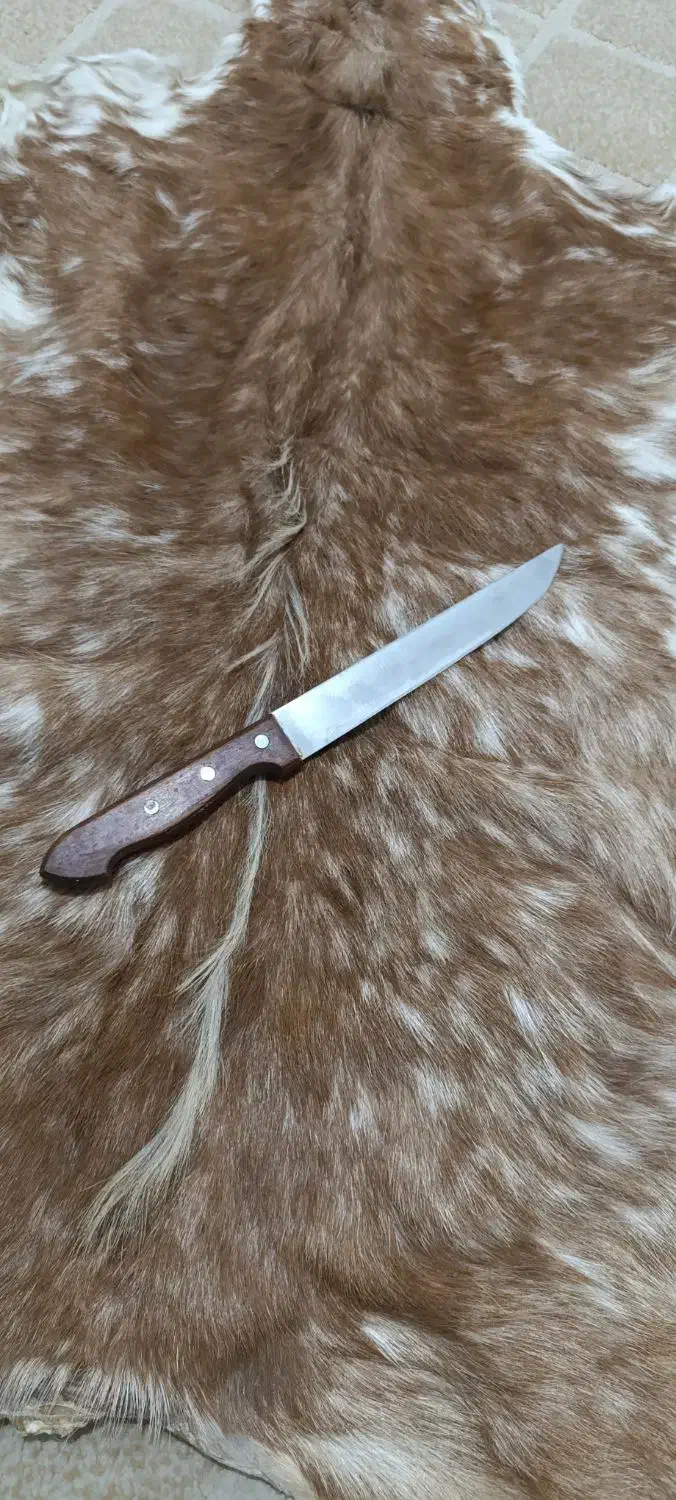 چاقو آزادی|ظروف پخت‌وپز|شیراز, محراب|دیوار