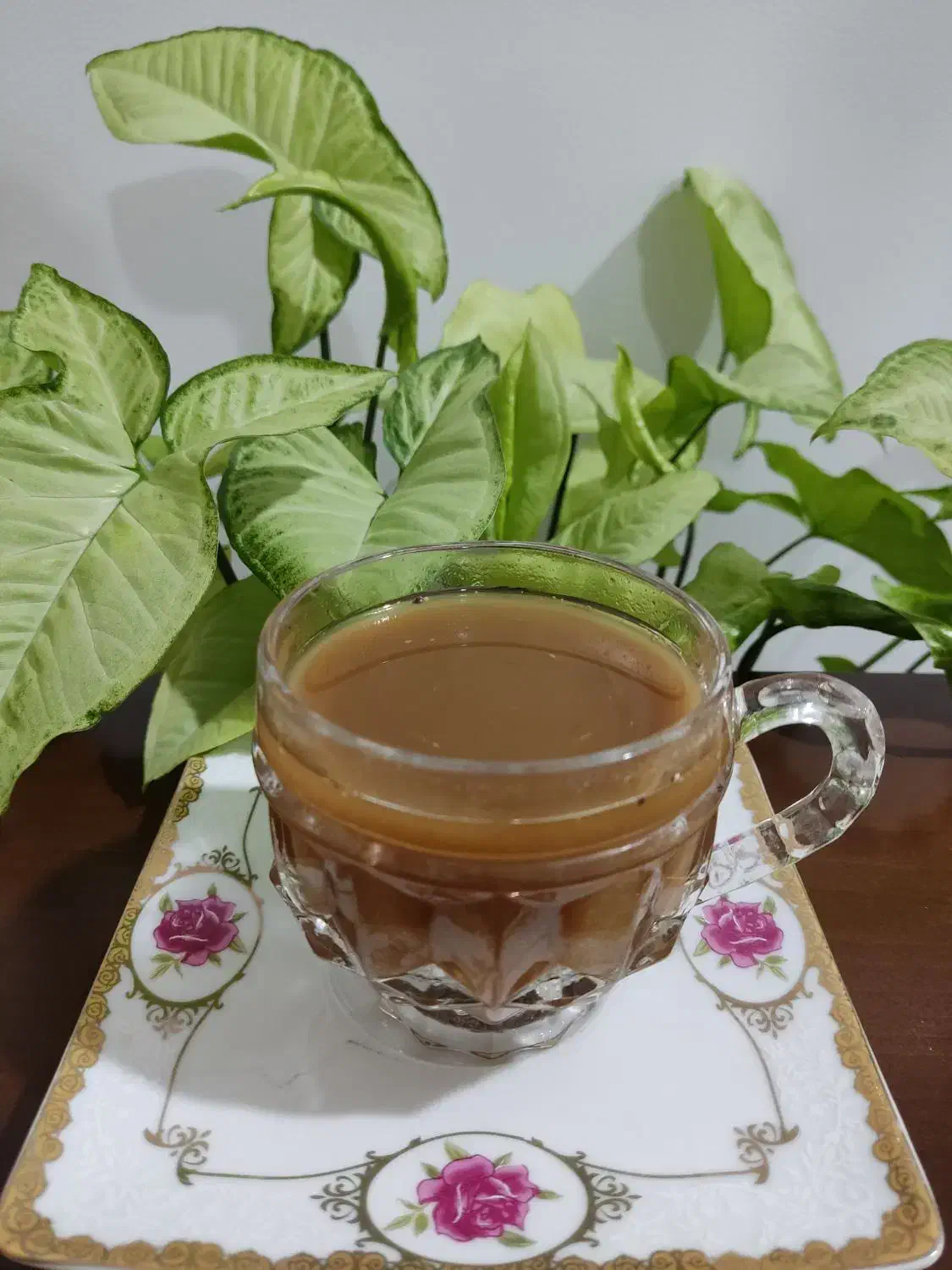 دمنوش گیاهی|خوردنی و آشامیدنی|شیراز, حافظیه|دیوار