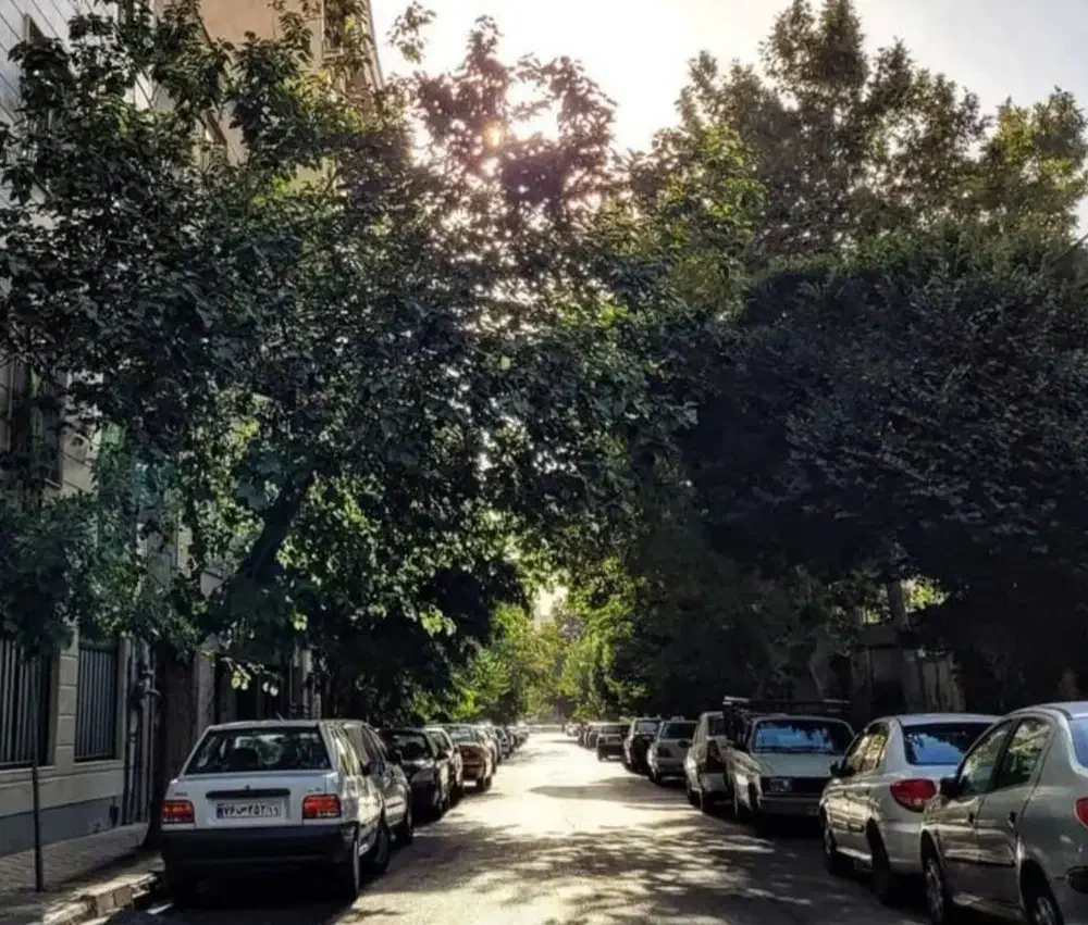 فروش دو واحد موقعیت اداری بر بلوار اقاقیا|فروش دفتر کار، اتاق اداری، مطب|تهران, گلستان (شهرک راه آهن)|دیوار
