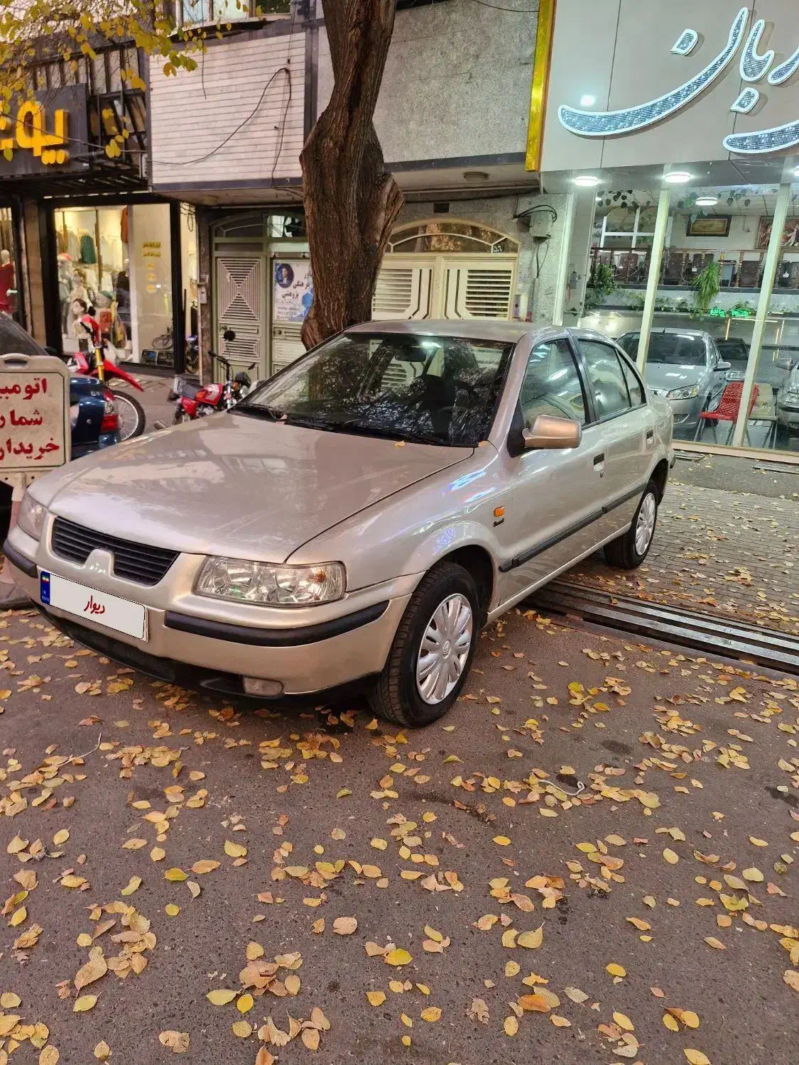 سمند ۸۲ درجه۱|خودرو سواری و وانت|تبریز, |دیوار