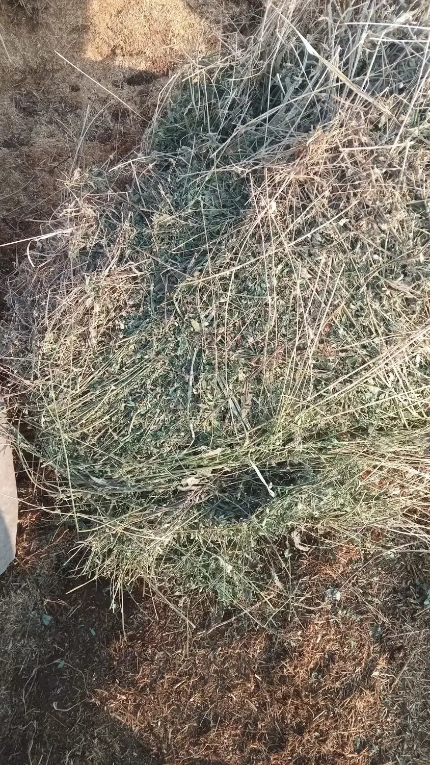 یونجه و گیاه دسته اول|خدمات باغبانی و درختکاری|شوط, |دیوار